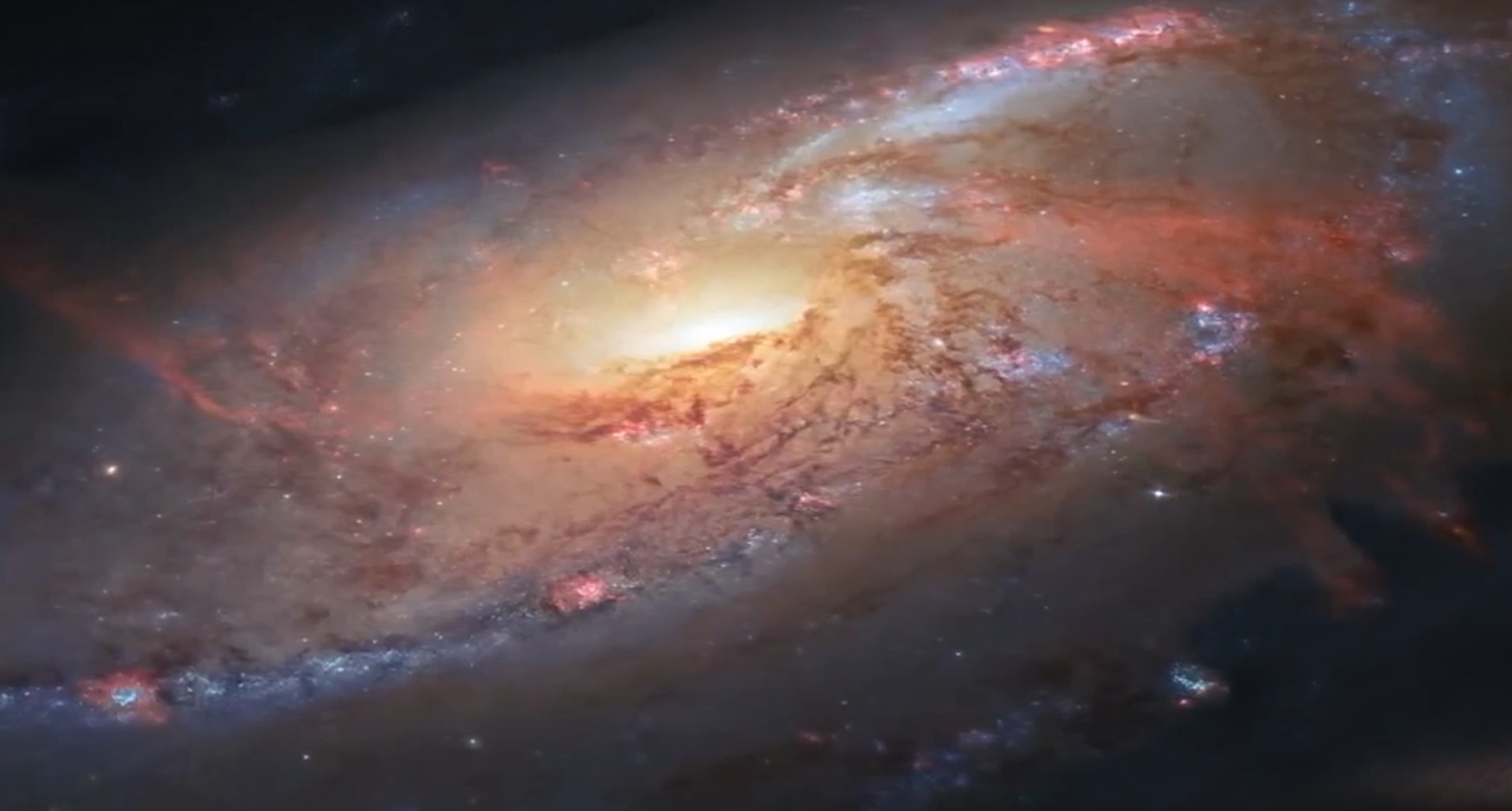 Призрачная галактика  Стрекоза 44