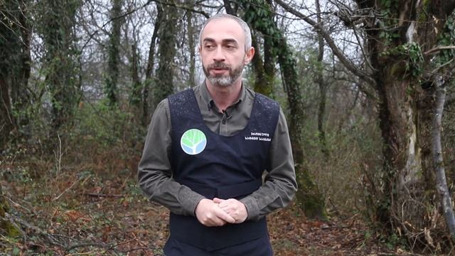 გიორგი მამადაშვილი წაბლის კორომების შენარჩუნებასა და დაცვის შესახებ