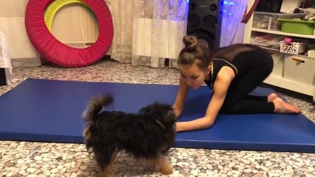 Перекаты через плечо
