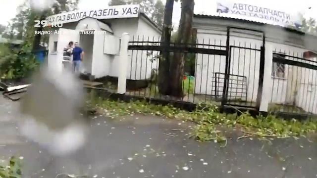Дерево перекрыло улицу