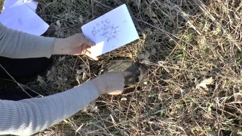 Лунный камень места силы