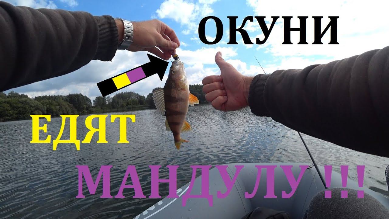 НЕ ВЕРИЛ, что ОКУНИ ЕДЯТ МАНДУЛУ!!!! МАНДУЛА КОСИТ ОКУНЕЙ!!!