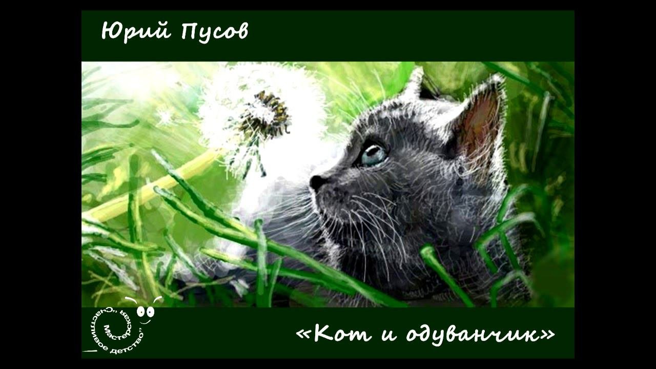 Кот и одуванчик