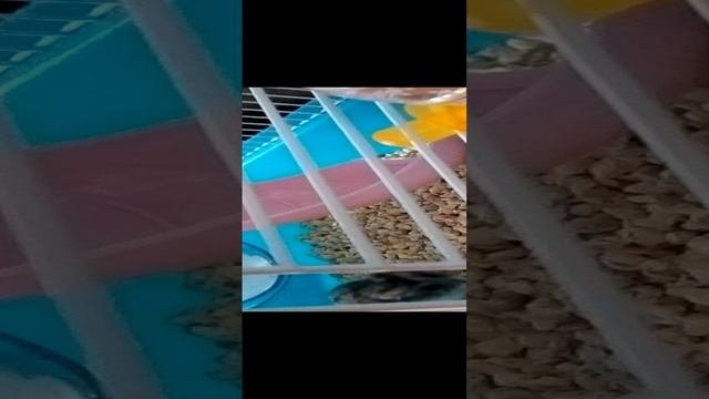 VID_20231231_132530.3gp