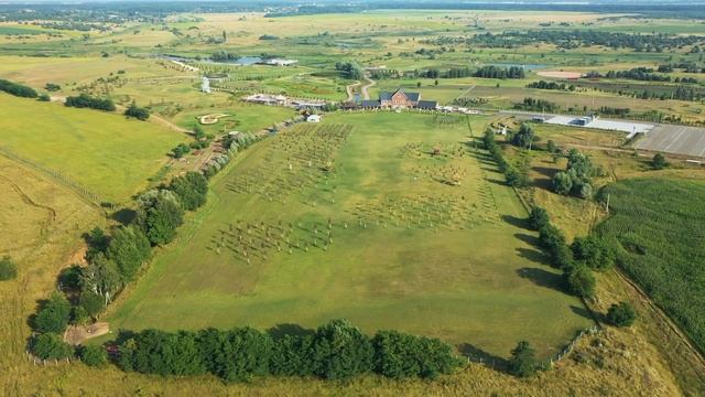 Крыша из камыша. Добропарк 2021. Покрівля з очерету