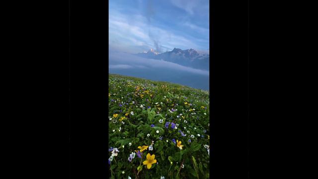 Мешает парадигма убеждений✨✨💫