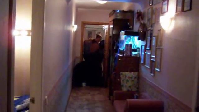 Черный терьер защита хозяев в квартире