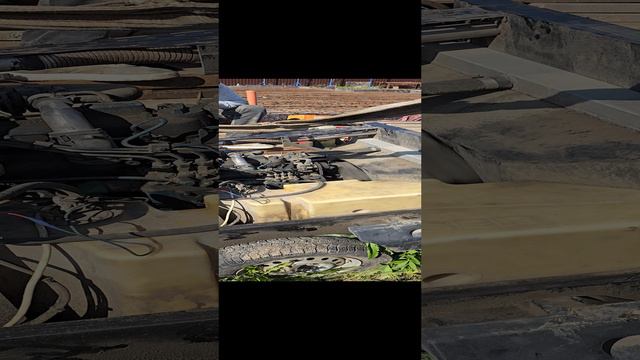 1000177538.mp4