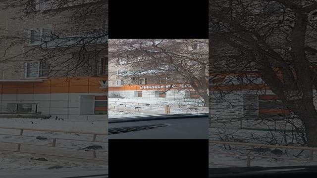 VID_20231130_124255.mp4