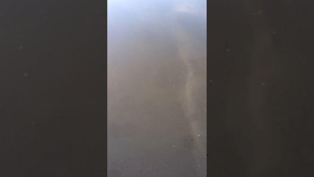 Песочный фильтр-насос для бассейна