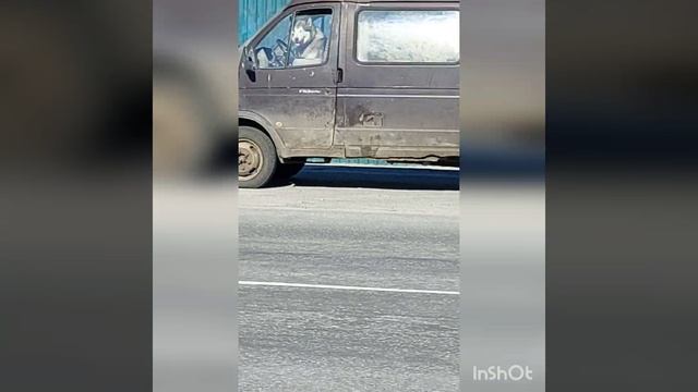 InShot_20220507_123043163.mp4