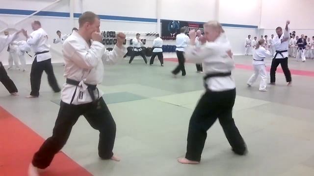 Hokutoryu ju-jutsu techniques 3