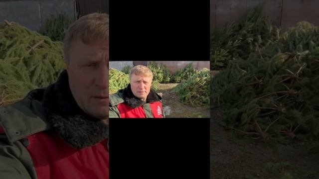 Отзыв довольного клиента Таганрог 2023