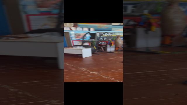 Бокс