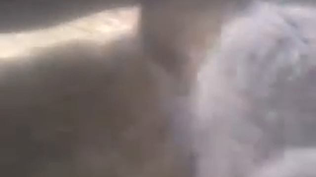 Вирощуємо вівці. Зимовий раціон.