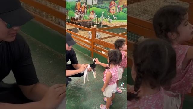 По мотивам сказки «Волк и семеро козлят»???? #близняшки #рекомендации #счастье #twinsisters