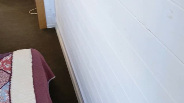 # 148. Купили и посади грушу. Показываю сорт. Косим весь участок. Отличный вырос газон. 2022