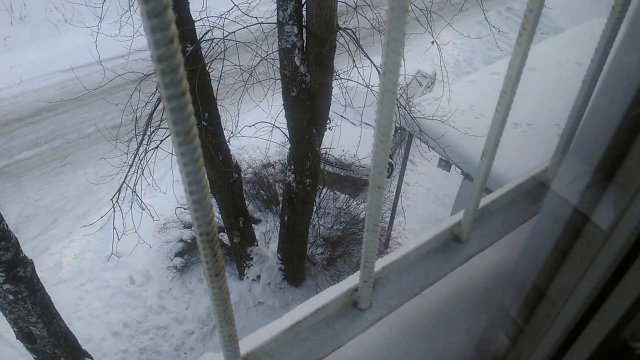 Белка в Новоберезовском