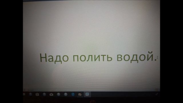 Как Аня вырастила цветы.