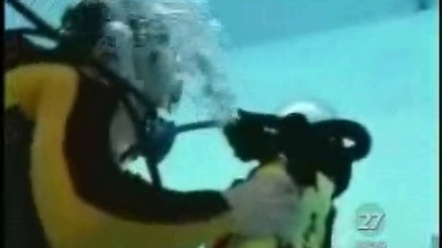 3vid_2