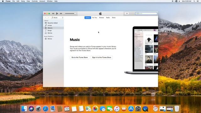 Mac OS X High Sierra in 2024 (abandonware)