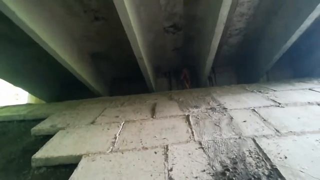Зачем я вызвала Баку пожирателя снов!!