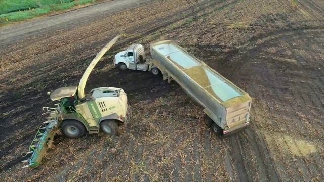 УБОРКА КУКУРУЗЫ НА СИЛОС. АМЕРИКА