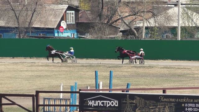 30.04.2022г.Абакан Приз в честь Федерации профсоюзов РХ  для лошадей 3-х лет Орл.рыс. 1600м