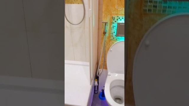 Санузел под ключ эконом
