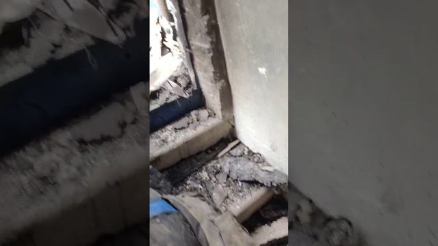 Свежая, зачистка.