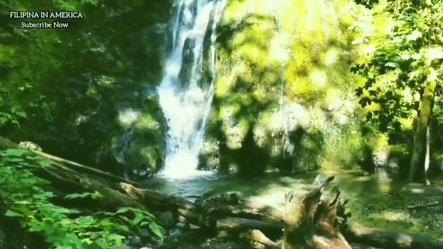 Sounds of Nature Meditation for Stress Relief
