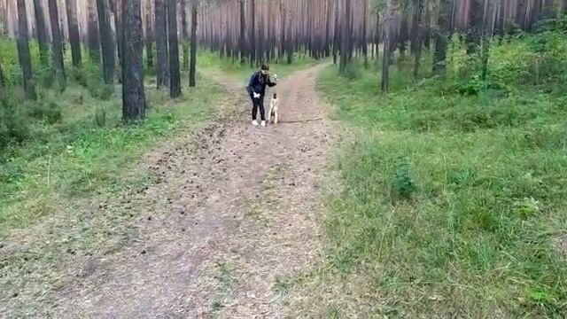Город Реж Свердловской области.