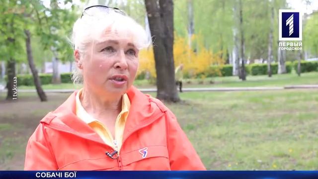 Собачий бой показивают на новостях!