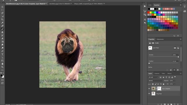 Adobe Photoshop: Layer Mask Tutorial (Update!)