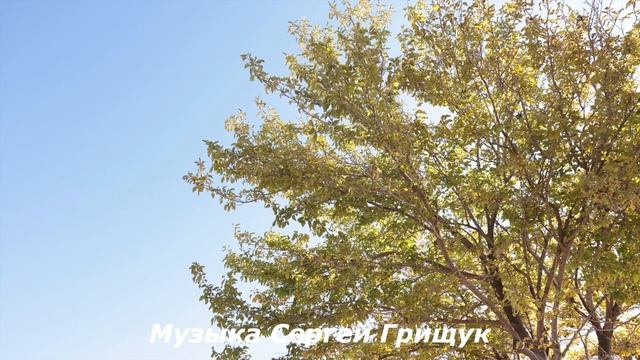 ♫  БЕЗ ГРАНИЦ♫  Музыка Сергей Грищук  ♫
