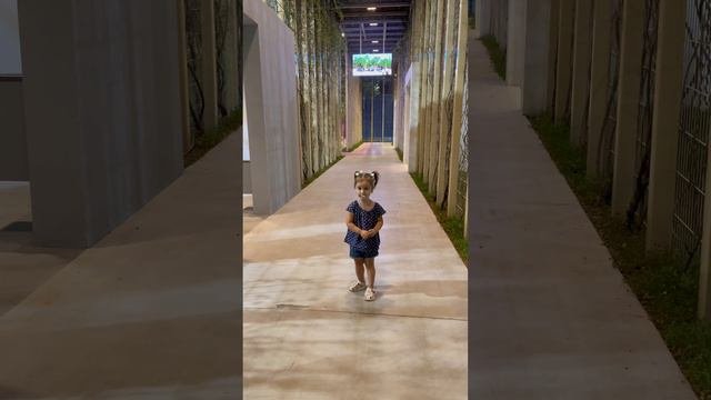 ПАРК ГАЛИЦКОГО КРАСНОДАР
МИЛАША НА ПРОГУЛКЕ ❤️