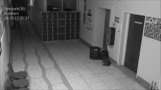 Видеозапись камер наблюдения одной из школ в Ирландии.