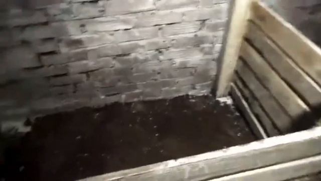 Обрабатываем погреб
