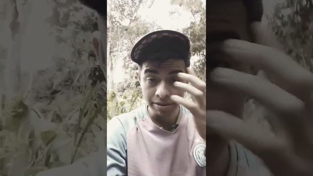 Cuánto árboles Se Puede Sebra En Un Hectárea