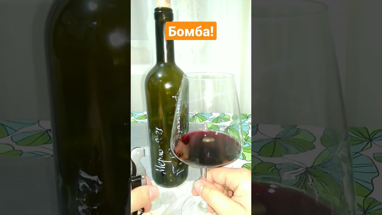 Мерло Аппасименто 2021 Выставкина Николая #дегустация #вино