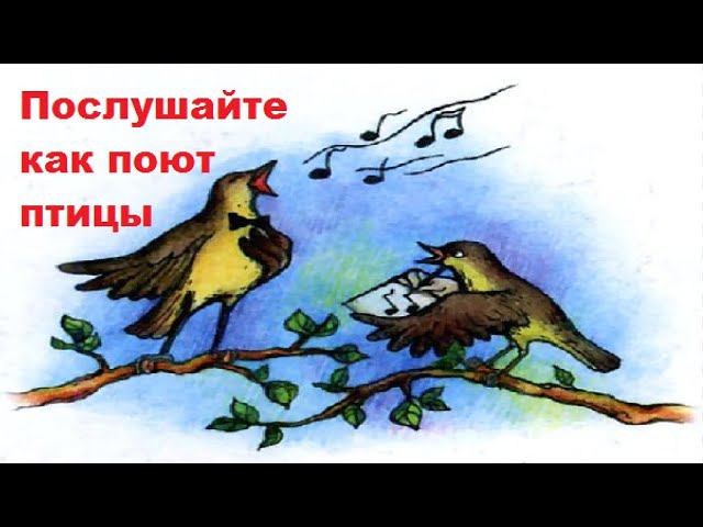 Вы послушайте как поют птицы! Первые находки