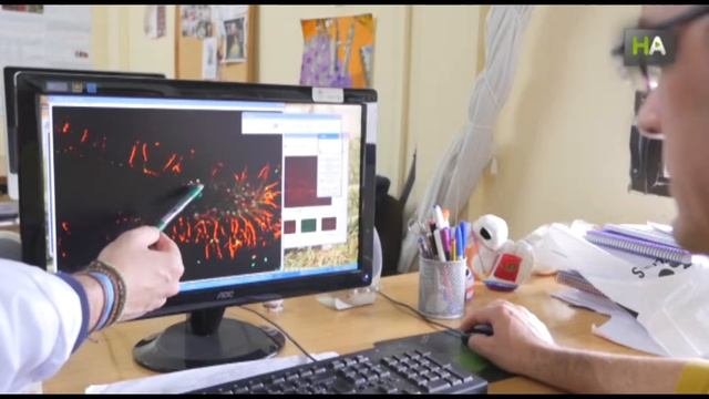НА В молочае содержится вещество способствующее восстановлению нервных клеток