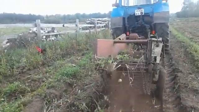 МНОГО КУР,КОПАЕМ КАРТОШКУ КАРТОФЕЛЕКОПАЛКОЙ!