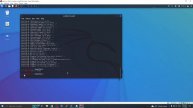How to install fish on Kali Linux 2023
