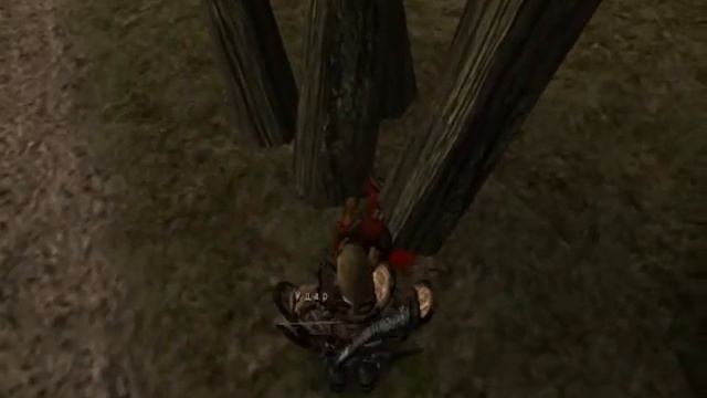 Gothic 1 Прохождение часть 34 Странник
