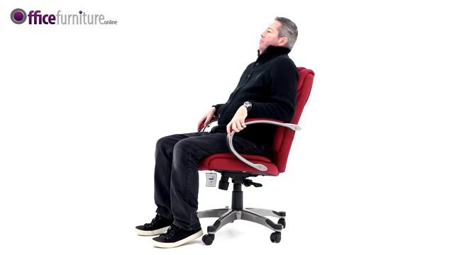 Fiji Fabric Manager Chair Features and User Guide