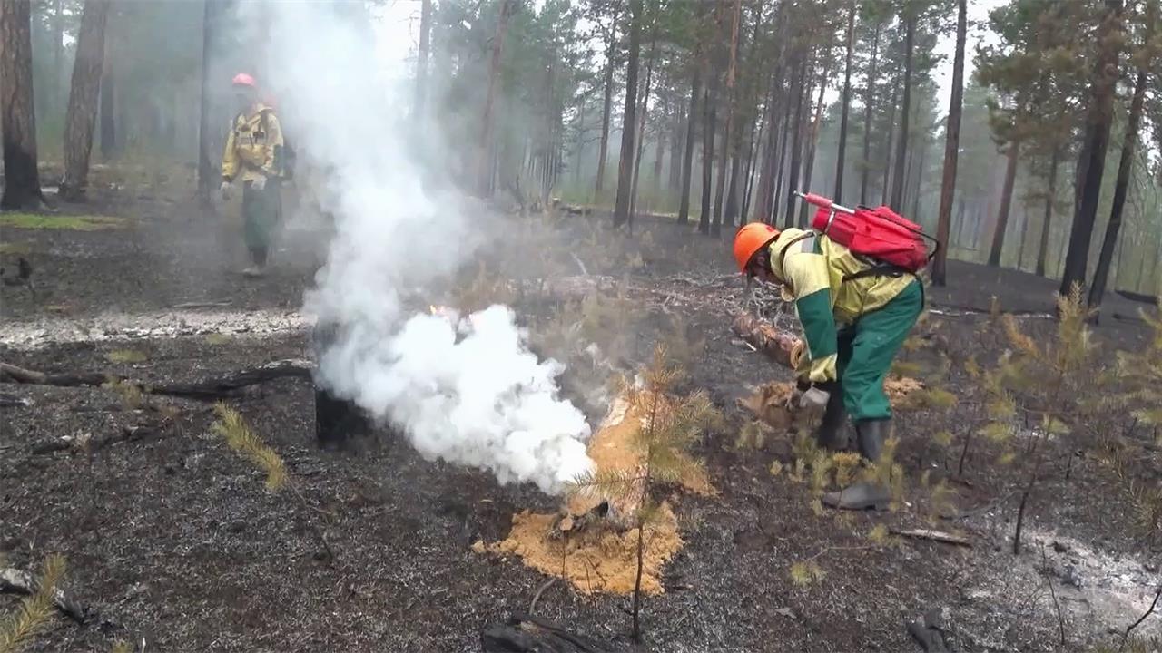 В Забайкальском крае из-за пожаров действует режим ЧС