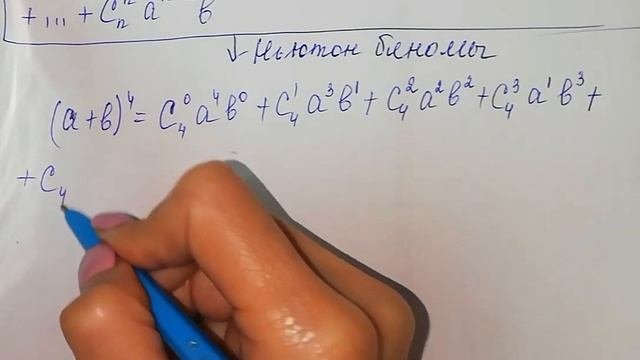 9-сынып. Ньютон биномы және оның қасиеттері-1