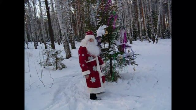 дед мороз в лесу на лыжах