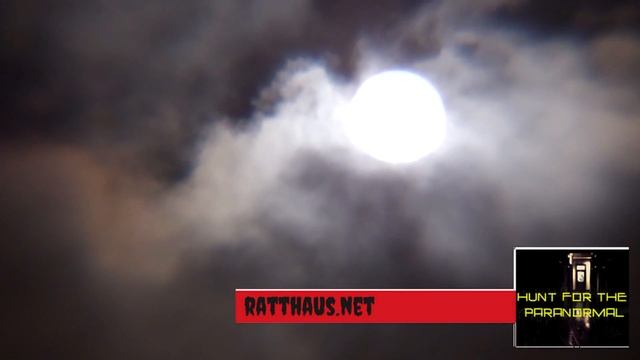 Hunt for the Mothman (& other cryptids)